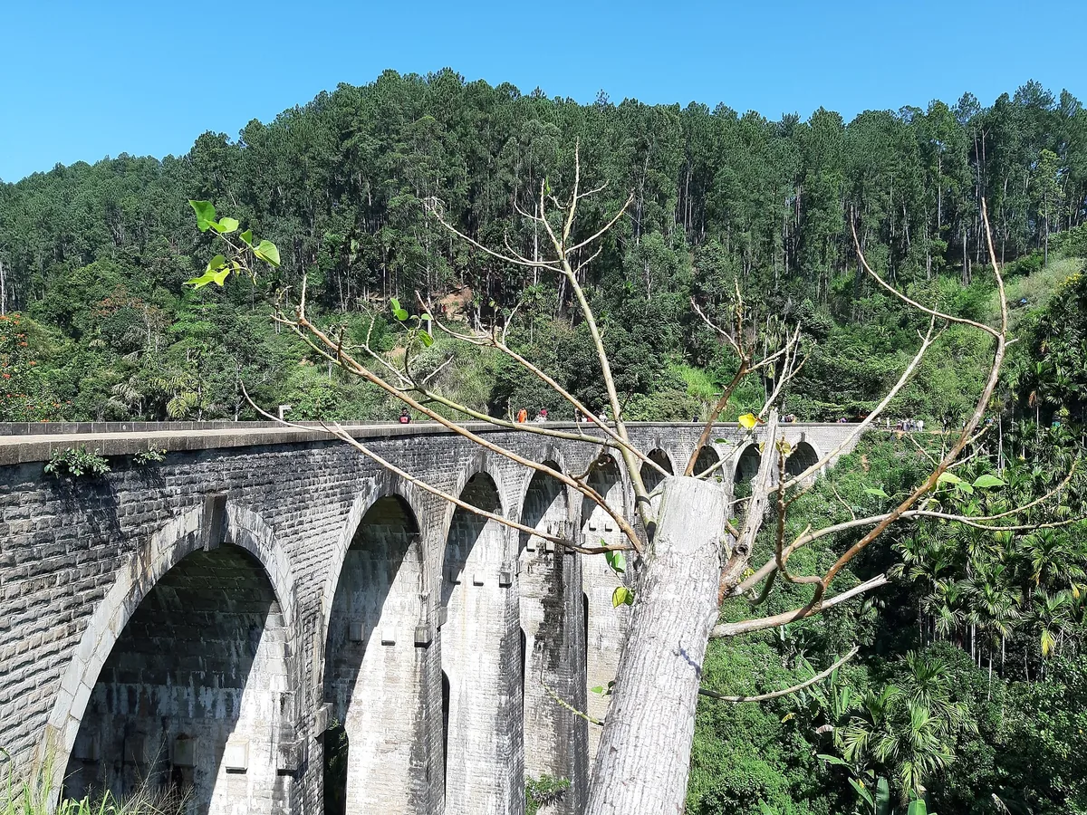 The Nine Arch Bridge near Ella, a stone viaduct curving through tea country.