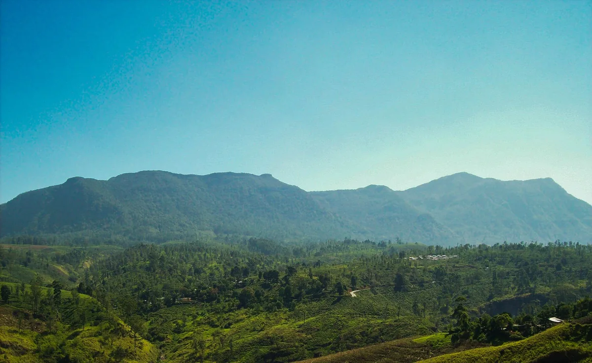 Tea-covered mountains above Nuwara Eliya in the central highlands.