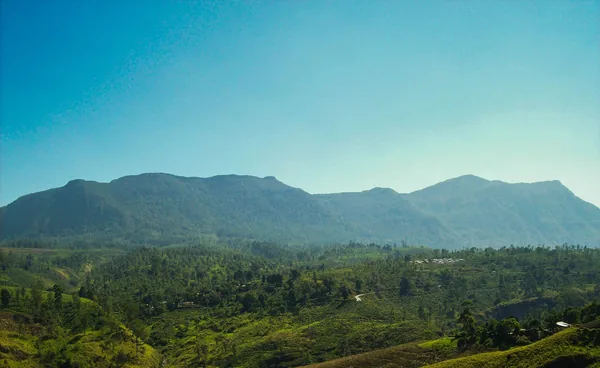 Tea-covered mountains above Nuwara Eliya in the central highlands.