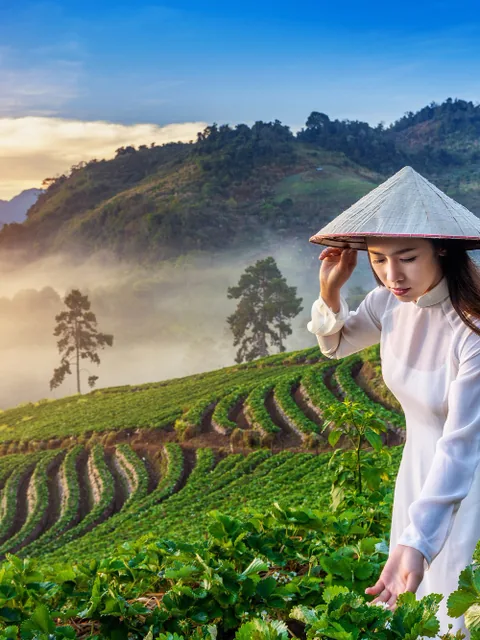 Terraced fields in the Vietnamese highlands